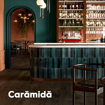 Premiercom gresie faianta aspect caramida